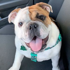 Meet your Posher, Anna